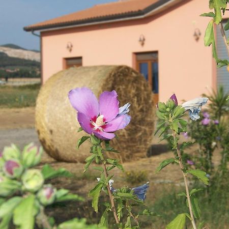 Agriturismo La Nocciolina Venturina Terme Kültér fotó