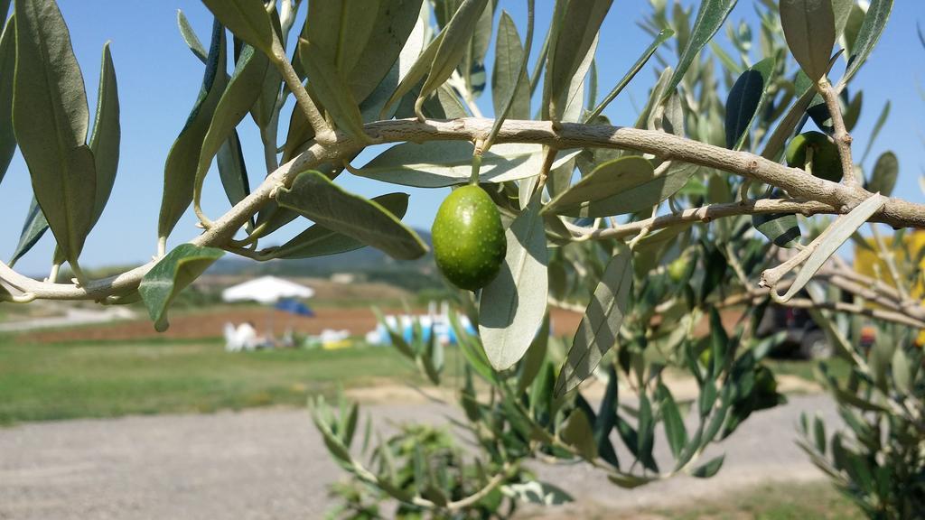 Agriturismo La Nocciolina Venturina Terme Kültér fotó