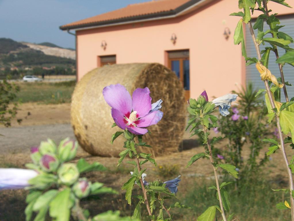 Agriturismo La Nocciolina Venturina Terme Kültér fotó
