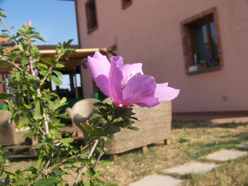 Agriturismo La Nocciolina Venturina Terme Kültér fotó
